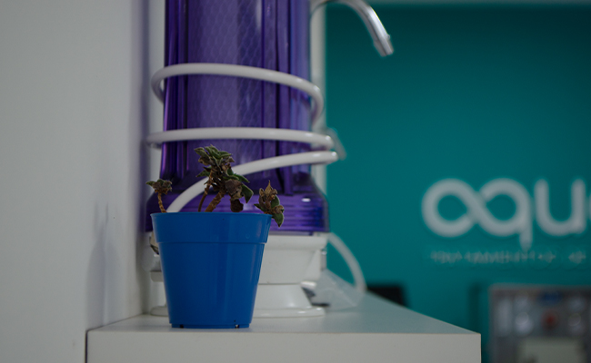 Purificadores de agua Aqua